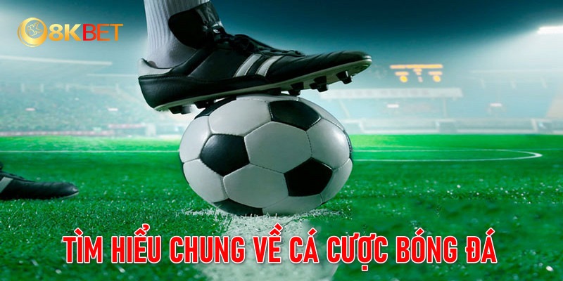 Cá Cược Bóng Đá 8KBET