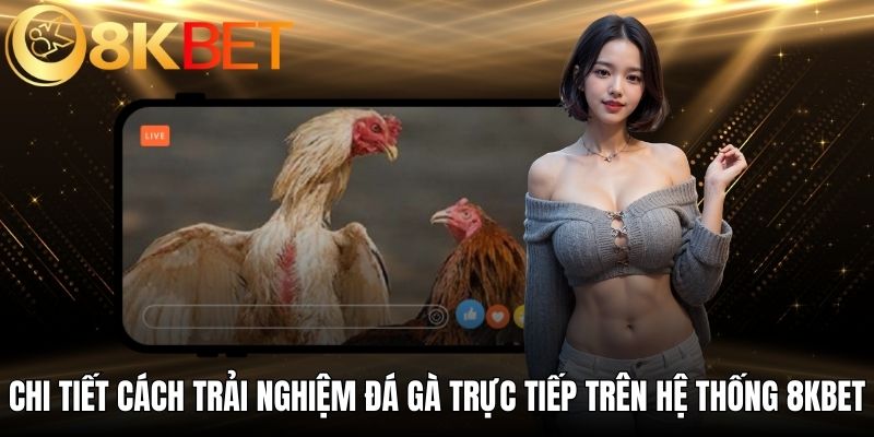 Chi tiết cách trải nghiệm đá gà trực tiếp trên hệ thống 8KBET