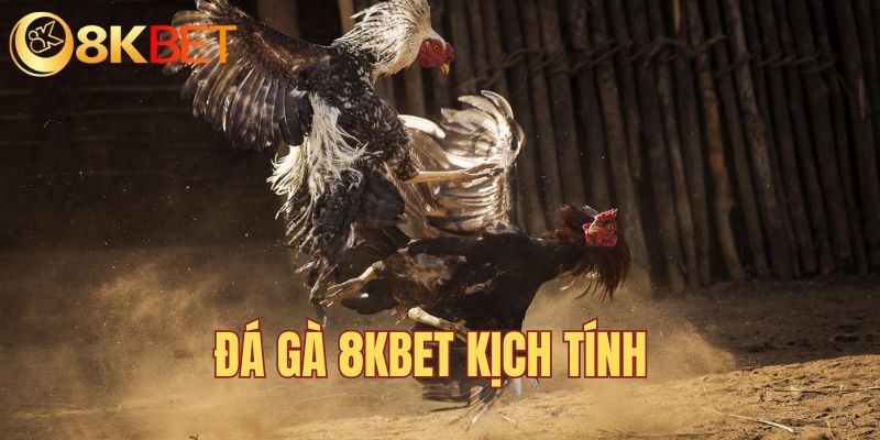 Đá gà trực tuyến kịch tính với nhiều hình thức