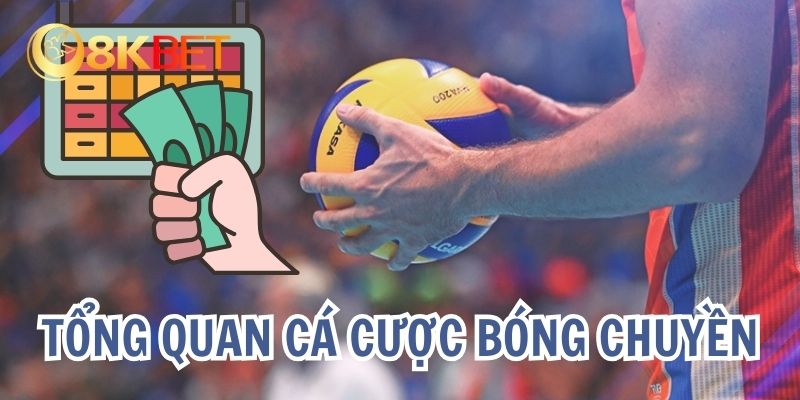 Đôi nét về tỷ lệ cược bóng chuyền