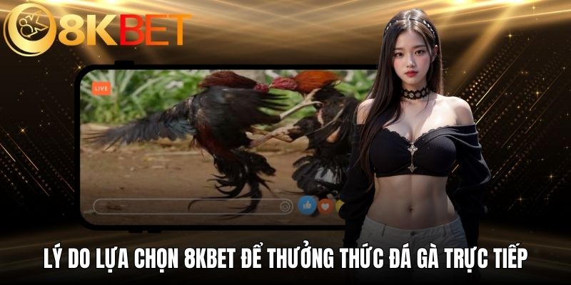 Lý do lựa chọn 8KBET để thưởng thức đá gà trực tiếp