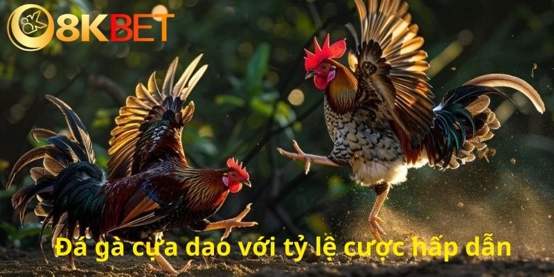 Tỷ lệ cược hấp dẫn tại 8KBET sẽ giúp bạn tối ưu nguồn vốn